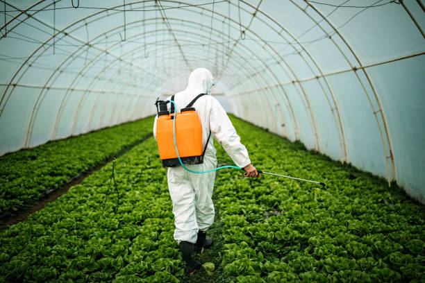 Best Commercial Pest Control Services  in Hudson, IA