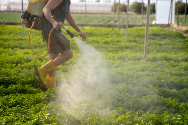 Best Local Pest Control Services  in Hudson, IA