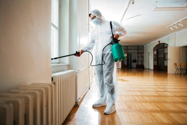 Best Best Pest Control Companies  in Hudson, IA