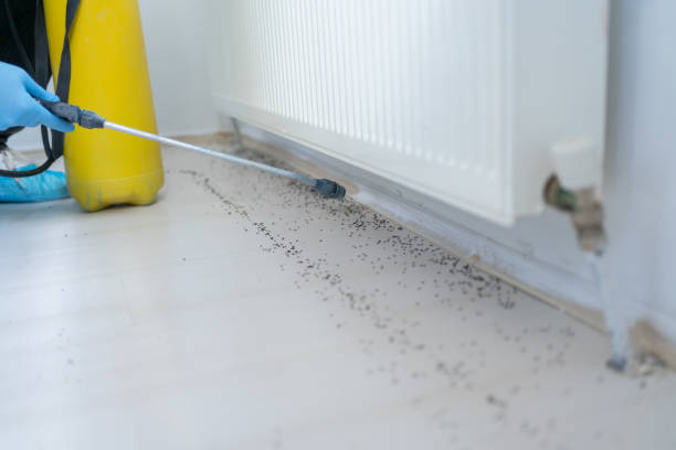 Best Pest Prevention Services  in Hudson, IA