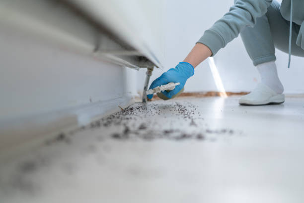 Pest Control Cost in Hudson, IA